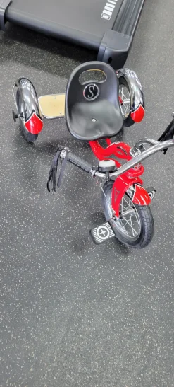 Schwinn NEW ROADSTER TRIKE Other Bike