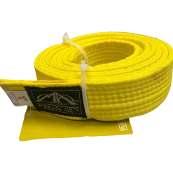 Used Martial Arts Belt Yellow Junior