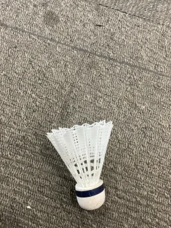 Used Single Birdie