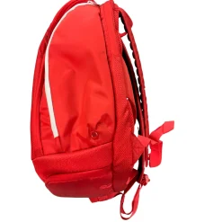 Used Wilson Racquet Accessory