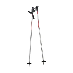 Used Axiom SKI POLES Mens DH Ski Pole None 115 cm / 46 in