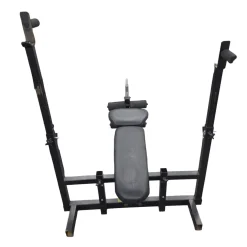 Used BIODYNE OLYMPIC BENCH Olympic Bench