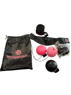 Used Boxerpoint Reflex Ball Set