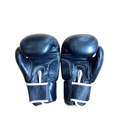 Used Boxing Gloves Black LG