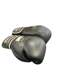 Used Boxing Gloves Black LG
