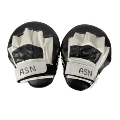 Used Boxing Training Mitts