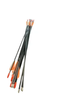Used BULLET POINT ARROW SET OF 12 Adult Arrow