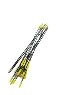 Used BULLET POINT ARROW SET OF 12 Adult Arrow