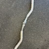 Used Cable Curl Bar