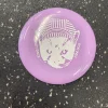 Used Disc Golf Accessory