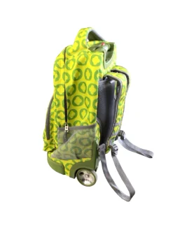 Used Disc Golf Bag Green