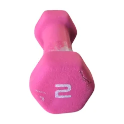 Used DUMBBELL 2LB Hex Dumbbell (Each) 2 lb