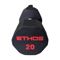 Used Ethos 20 LB HEX DUMBBELL Hex Dumbbell (Each) 20 lb