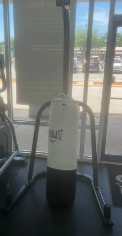 Used EVERLAST/ BAG/ STAND Boxing Heavy Bag None 100 lb
