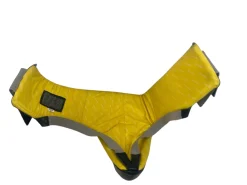 Used Everlast Boxing Girdle