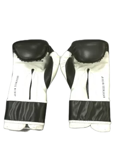 Used Everlast Boxing Gloves Black LG