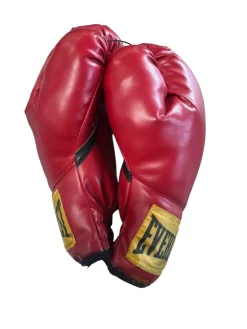 Used Everlast Boxing Gloves Red Senior