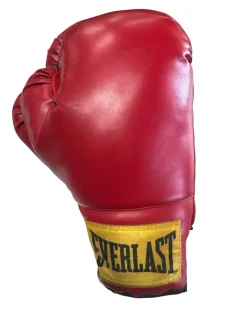 Used Everlast Boxing Gloves Red Senior