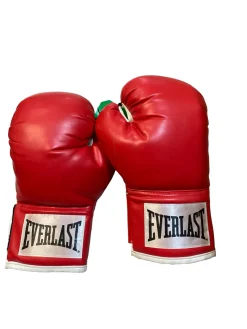 Used Everlast Boxing Gloves Red MD