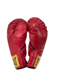 Used Everlast Boxing Gloves Red XL