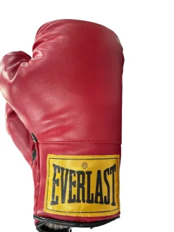 Used Everlast Boxing Gloves Red XL