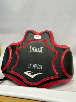 Used Everlast Boxing Pads Black