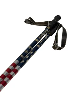 Used Hart RAMY Ski Poles 105 cm / 42 in