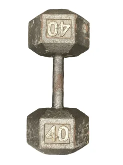 Used Hex Dumbbell (Each) 40 lb