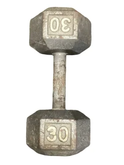 Used Hex Dumbbell (Each) 30 lb
