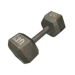 Used Hex Dumbbell (Each) 30 lb