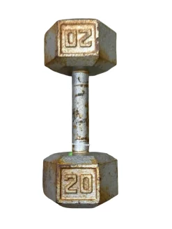 Used Hex Dumbbell (Each) 20 lb