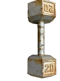 Used Hex Dumbbell (Each) 20 lb