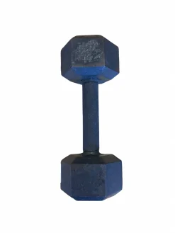 Used Hex Dumbbell (Each) 15 lb