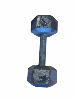 Used Hex Dumbbell (Each) 20 lb