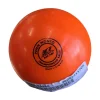 Used HOCKEY BALL Hockey Accessory