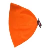 Used Innova Disc Golf Accessory