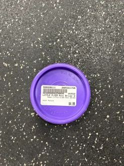 Used LITTLE FLYER MINI DRIVER Other Golf Disc Purple