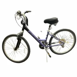 Used Raleigh SC30 Hybrid/City Bike Womens Purple 50-52cm - SM Frame