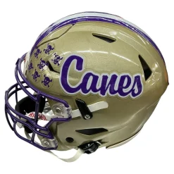 Used Riddell SPEEDFLEX FB Helmet Vegas Gold LG