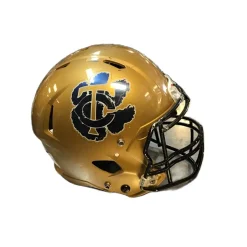 Used Riddell VICTOR FB Helmet Gold S/M