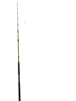 Used RODDY GATOR TAIL BH70C Fishing Rod 7'