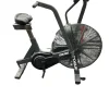 Used Rogue ECHO Dual Action Bike