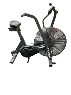 Used Rogue ECHO Dual Action Bike