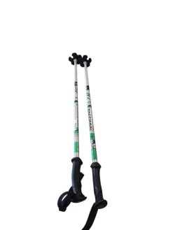 Used Rossignol SKI POLES Boys DH Ski Pole Grey 70 cm / 28 in