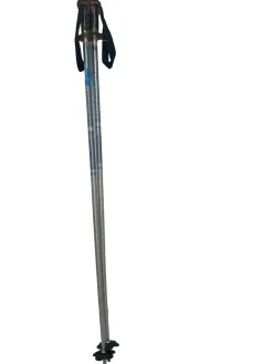 Used Rossignol Ski Poles Grey 115 cm / 46 in