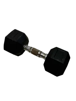 Used Rubber Hex Dumbbell (Each) 25 lb