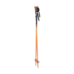 Used Salomon ARCTIC S3 SKI POLES Mens DH Ski Pole Navy Blue 120 cm / 48 in