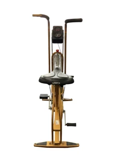 Used Schwinn AERODYNE Upright Bike
