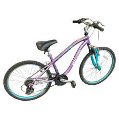Used Schwinn ATLAS Cruiser Bike Girls Purple 24"