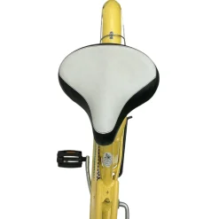 Used Schwinn STAR Cruiser Bike Womens Yellow 19-20